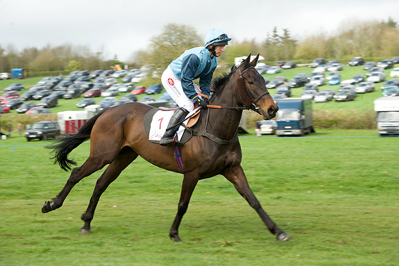 Race 5 - Restricted  33