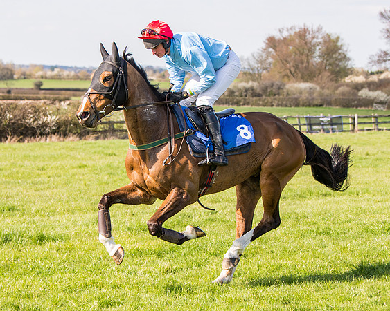 Race 5 - The Waverton Investment Management Ltd Restricted Race farmers and subscribers Race  (41 of 161)