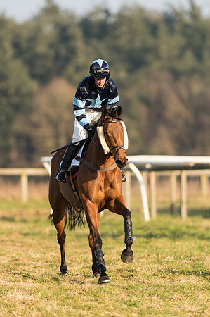 Race 6 - Open Maiden Div 1 (6 of 83).jpg