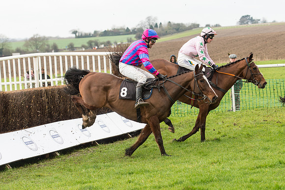 Race 1 - Young Horse Maiden (23 of 50).jpg