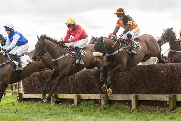 Race 2 - Young Horse Maiden (53 of 110).jpg