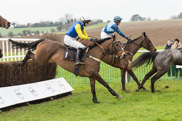 Race 1 - Young Horse Maiden (20 of 50).jpg