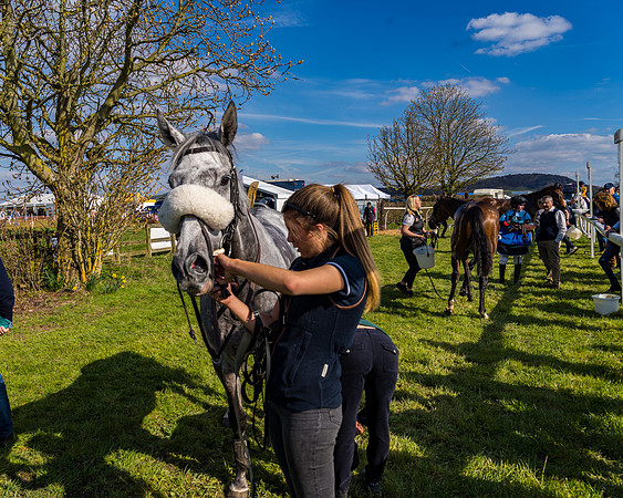 Race 4 - The Warehouse Reit Mixed Open Race  (85 of 124)