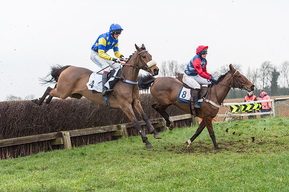 Race 7 - Young Horse Maiden  (36 of 64).jpg