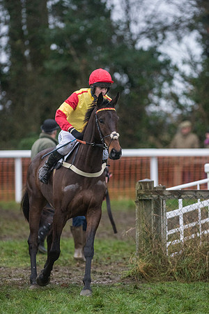 Race 8 - Young Horse Maiden  (10 of 85).jpg