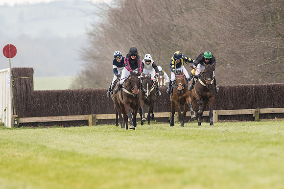 Race 2 - PPORA Novice riders  (140 of 186).jpg