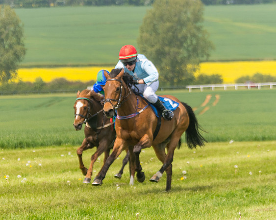 Pony Race 1 - 138cm (39 of 74)