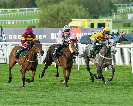 Race 5 - Mares Open  (122 of 329)