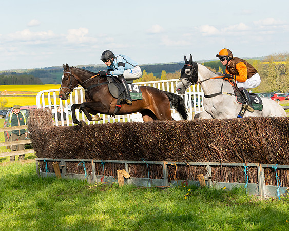 Race 7 - Maiden  (67 of 113)