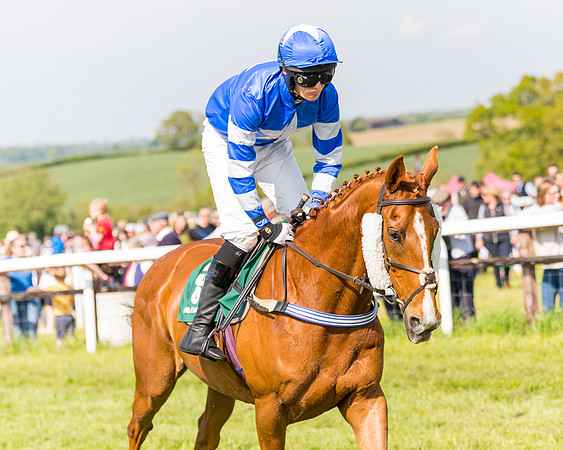 Race 4 - PPORA Novice Riders  (68 of 203)
