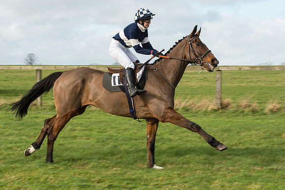 Race 3 - PPORA Members Novice Riders (31 of 84).jpg