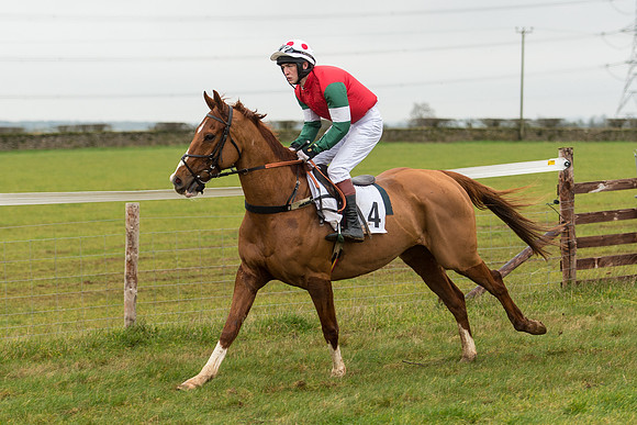 Race 3 - Novice Riders Race (29 of 150).jpg