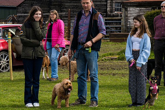 Dog show etc (116 of 157)