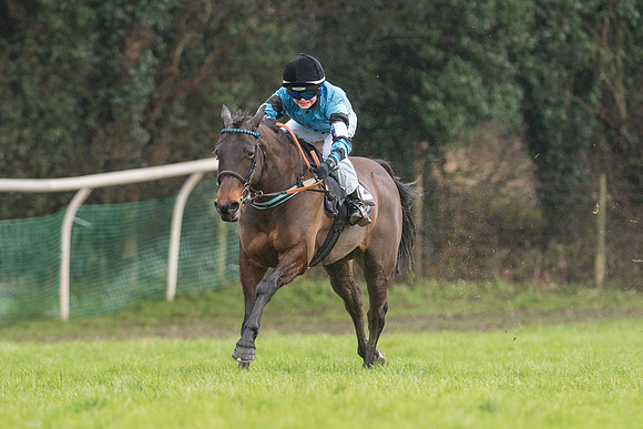 Pony Race 2 -  (5 of 17).jpg