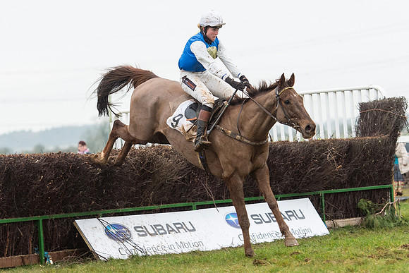 Race 6 - Open Maiden Race Div 1  (83 of 90).jpg