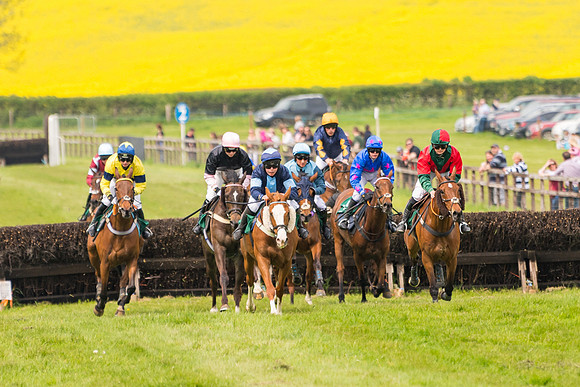Race 2 - Owner-Trainer Conditions  (103 of 208)