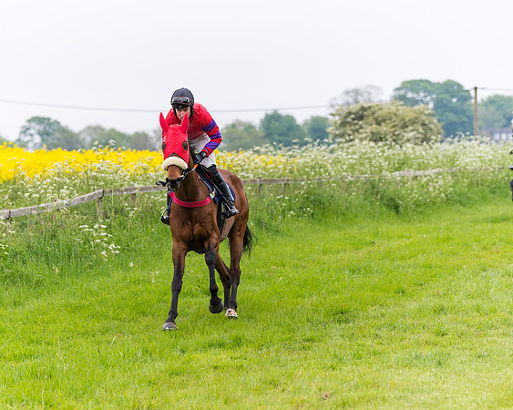 Race 6 - The Maiden [NWFAA] (25 of 143)