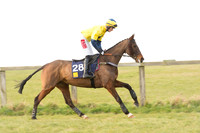 Race 6 Div 1 - Open Maiden  (8 of 116).jpg