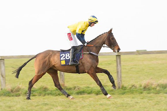 Race 6 Div 1 - Open Maiden  (8 of 116).jpg