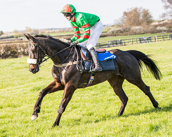 Race 5 - The Waverton Investment Management Ltd Restricted Race farmers and subscribers Race  (36 of 161)