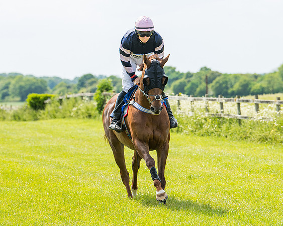 Race 2 - PPORA Novice Riders (127 of 444)