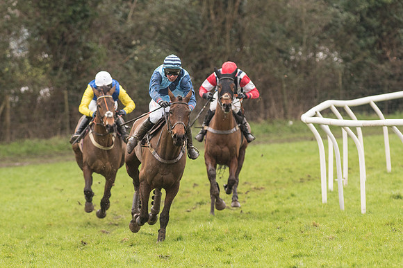 Race 1 - Young Horse Maiden (34 of 50).jpg