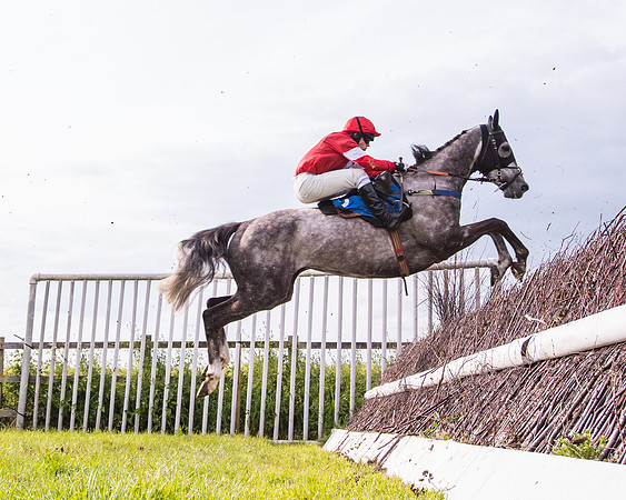 Race 6 - Open Maiden (157 of 346)