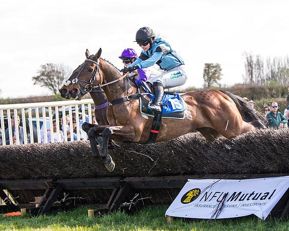Race 4 - The Warehouse Reit Mixed Open Race  (28 of 124)
