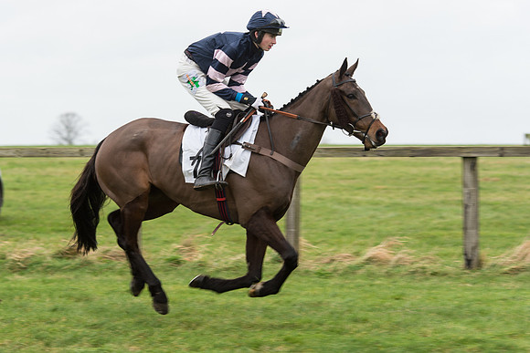 Race 7 - Open Maiden (41 of 131).jpg