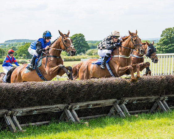 Race 2 - PPORA Novice Riders (235 of 444)