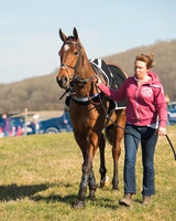 Race 1 Div 1 - 2M4F Maiden (12 of 117).jpg