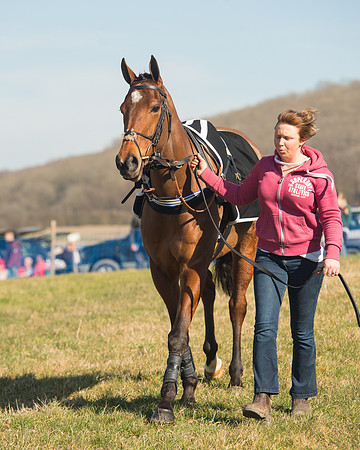 Race 1 Div 1 - 2M4F Maiden (12 of 117).jpg