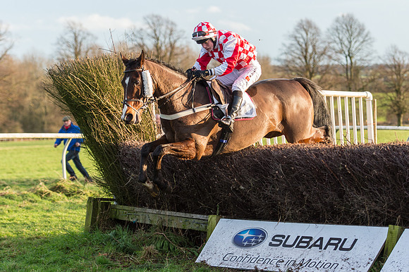 Race 6 - Novice Riders (101 of 103).jpg