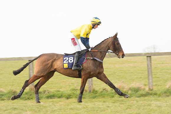 Race 6 Div 1 - Open Maiden  (9 of 116).jpg