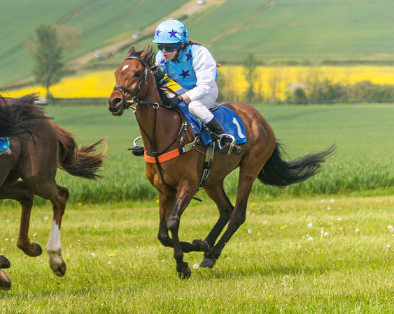 Pony Race 1 - 138cm (50 of 74)