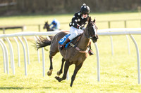 Pony Race 2 (14 of 22).jpg
