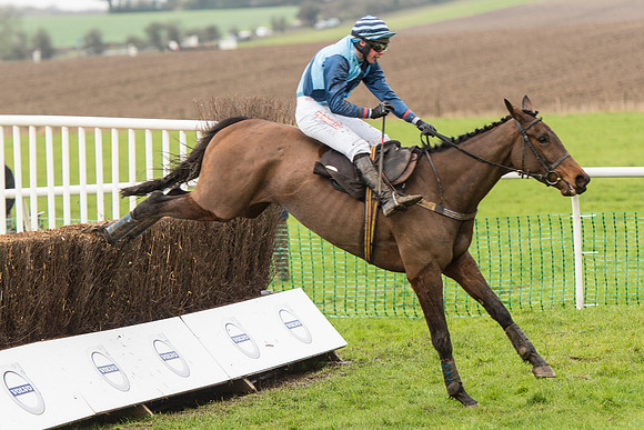 Race 1 - Young Horse Maiden (40 of 50).jpg