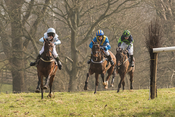 Pony Race 2 -  (2 of 32).jpg