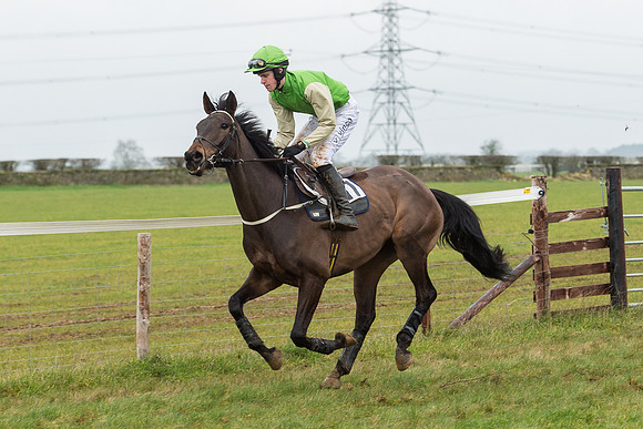 Race 6 - Open Maiden Race Div 1  (19 of 90).jpg