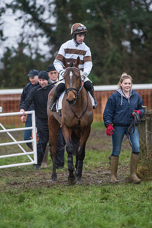 Race 8 - Young Horse Maiden  (34 of 85).jpg