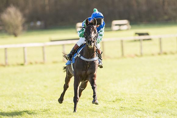 Pony Race 2 (19 of 22).jpg
