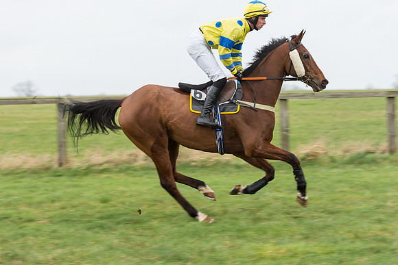 Race 7 - Open Maiden (53 of 131).jpg