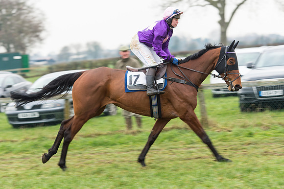 Race 6 - Open Maiden Div 2 (25 of 97).jpg