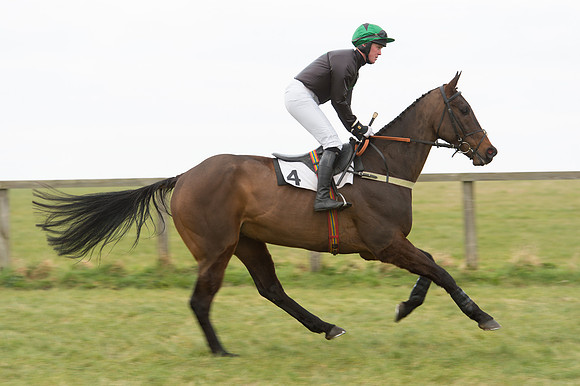 Race 2 - PPORA Novice riders  (4 of 186).jpg