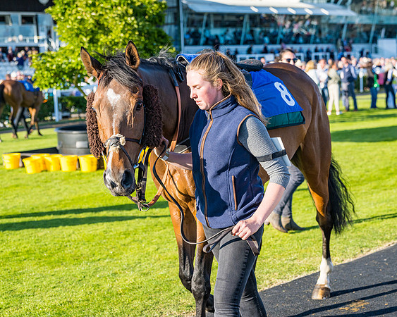 Race 4 - Foxhunters Championship (38 of 175)