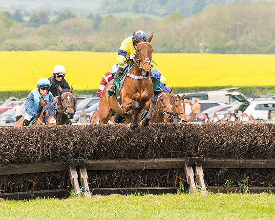 Race 2 - Owner-Trainer Conditions  (74 of 208)