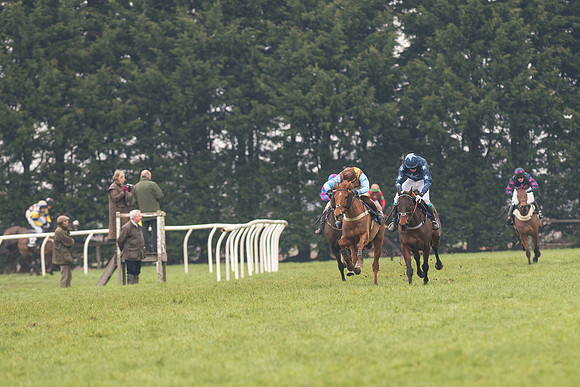 Race 5 - The Restricted Race (57 of 86).jpg