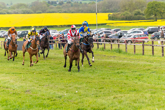 Race 7 - Veteran Horse conditions (103 of 244)