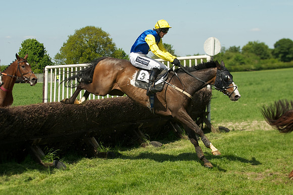BB2_8390