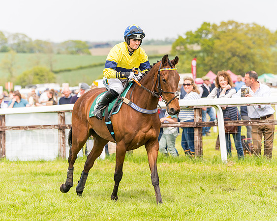Race 2 - Owner-Trainer Conditions  (61 of 208)